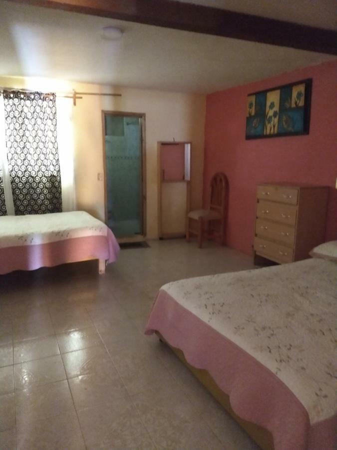 El Paraiso De Zacatlan Departamento Con Jardin, 11 Pax Exterior photo